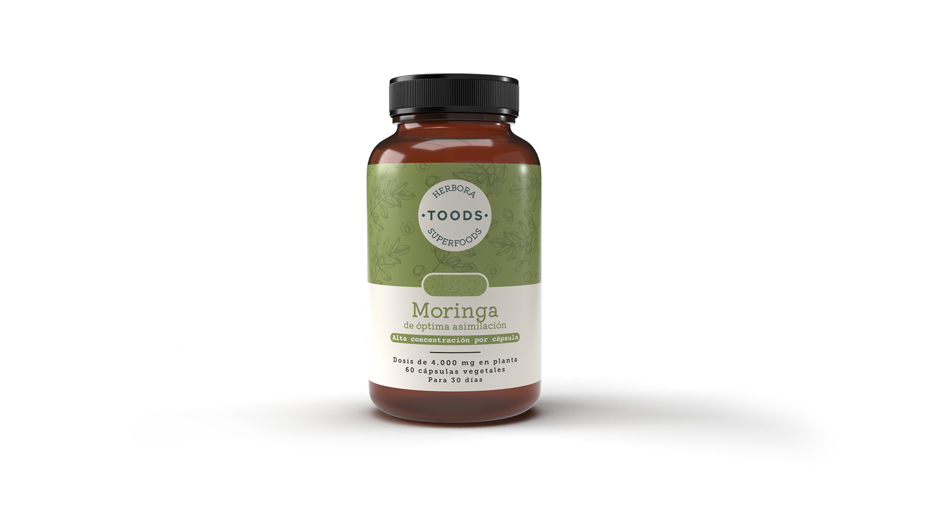 Moringa 